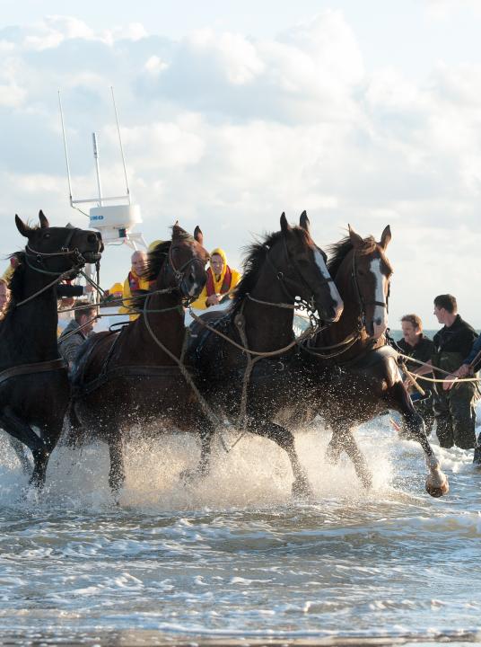 Demonstration horse-drawn rescue boat - Wadden.nl - VVV Ameland