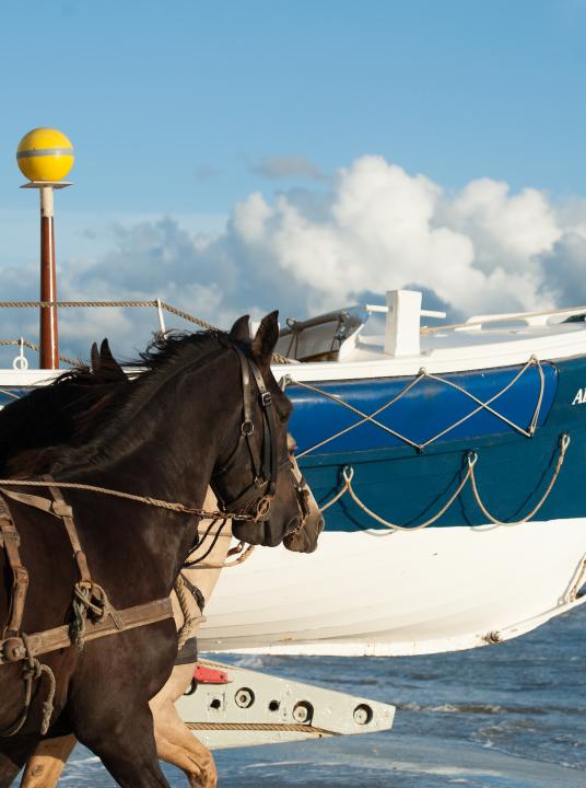 Demonstration horse-drawn rescue boat - Wadden.nl - VVV Ameland