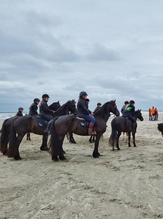 Cyprianrace - VVV Terschelling - Wadden.nl