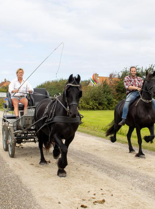 Harddraverij Oosterend - VVV Terschelling - Wadden.nl