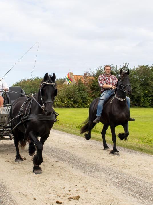 Market trotting race - VVV Terschelling - Wadden.nl