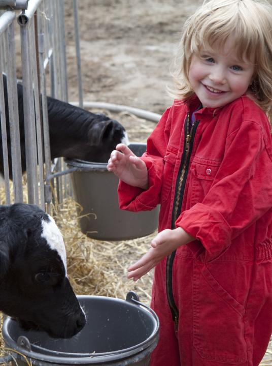 Agricultural day  - Wadden.nl - VVV Texel