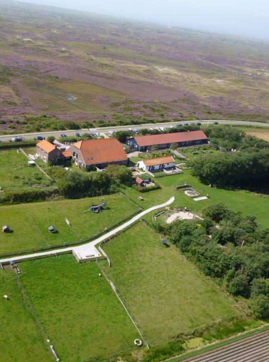 BUTE bij De Bonte Belevenis - VVV Texel - Wadden.nl