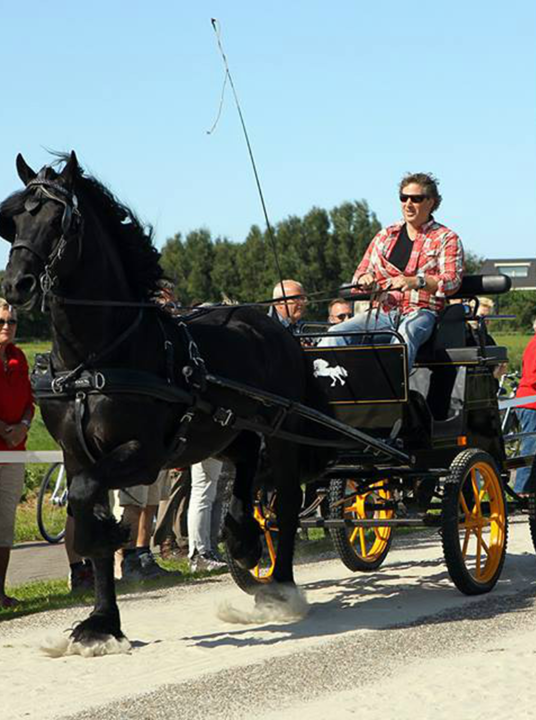 Market trotting race - VVV Terschelling - Wadden.nl