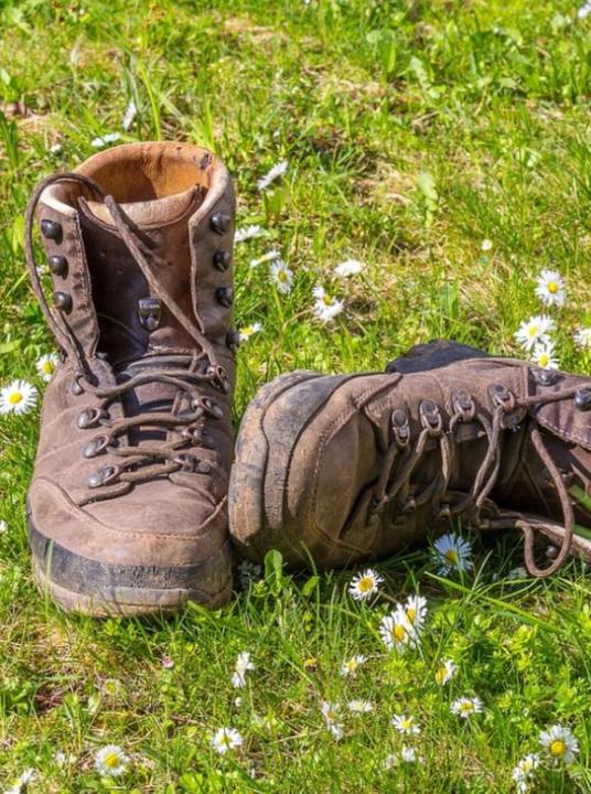 'Around the island' walking tour - VVV Texel - Wadden.nl