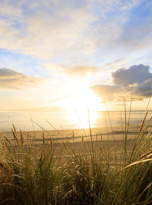 Come holiday and stay overnight on the beautiful Wadden Islands of Texel, Vlieland, Terschelling, Ameland and Schiermonnikoog - Wadden.nl
