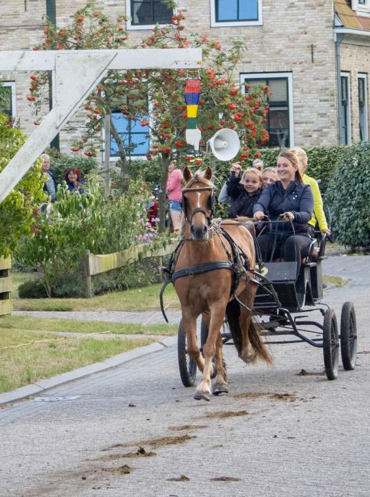 Ringsteken Hoorn - VVV Terschelling - Wadden.nl