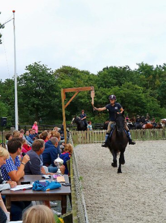 Ring riding on horseback - VVV Terschelling - Wadden.nl