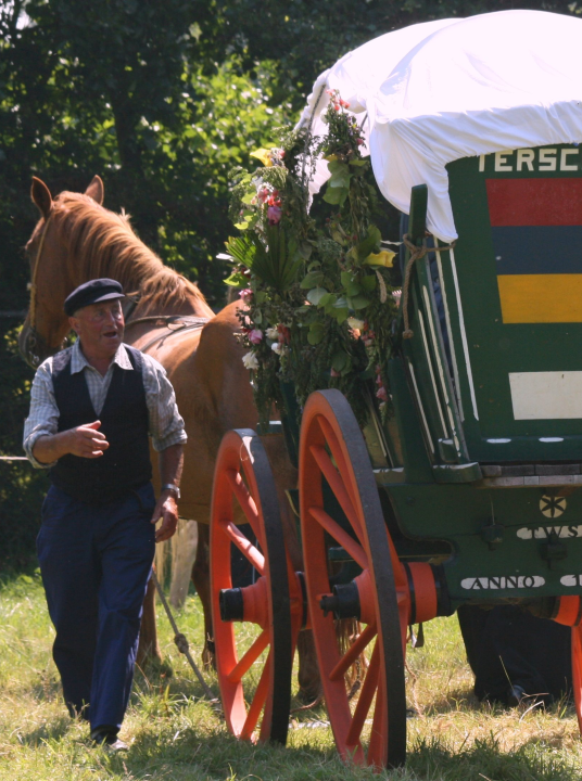 Day of the horse - VVV Terschelling - Wadden.nl