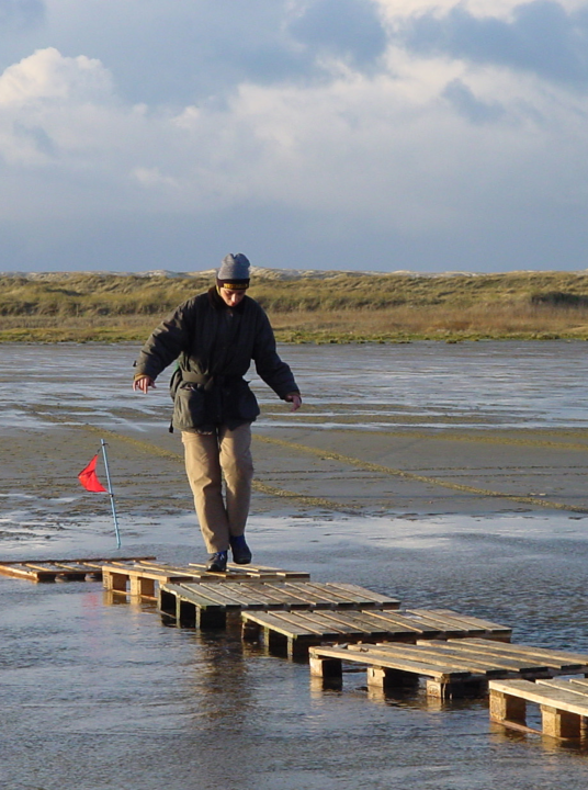 Christmas walking tour - VVV Terschelling - Wadden.nl