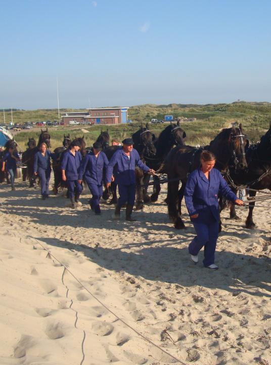 Demonstration rowing lifeboat and horses - VVV Terschelling - Wadden.nl