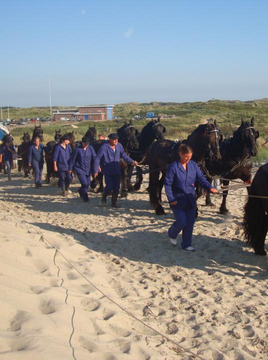 Demonstration rowing lifeboat and horses - VVV Terschelling - Wadden.nl