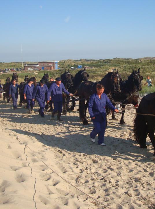 Demonstration rowing lifeboat and horses - VVV Terschelling - Wadden.nl