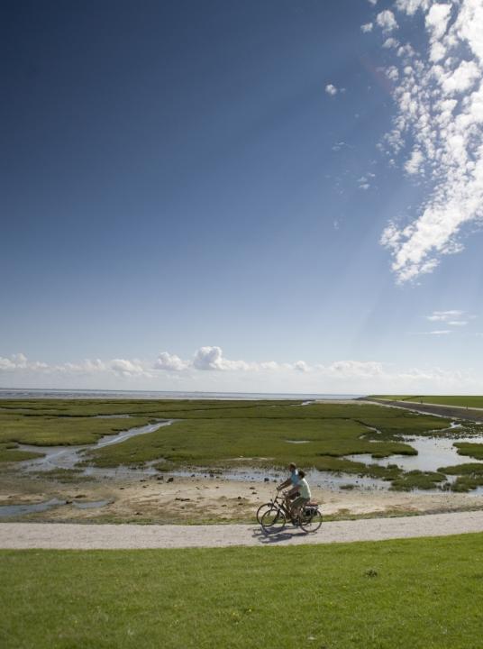 Day of the Wadden Sea - VVV Terschelling - Wadden.nl