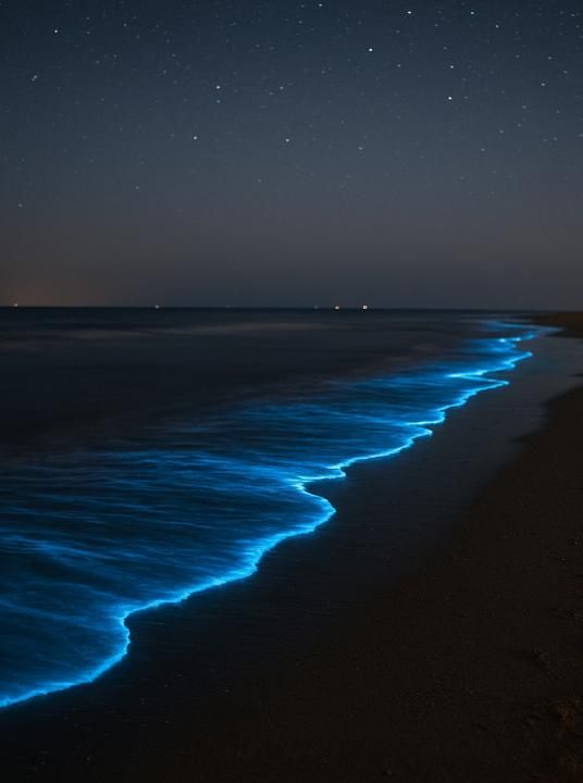 Sea spark spotting on the Wadden Islands - Wadden.nl