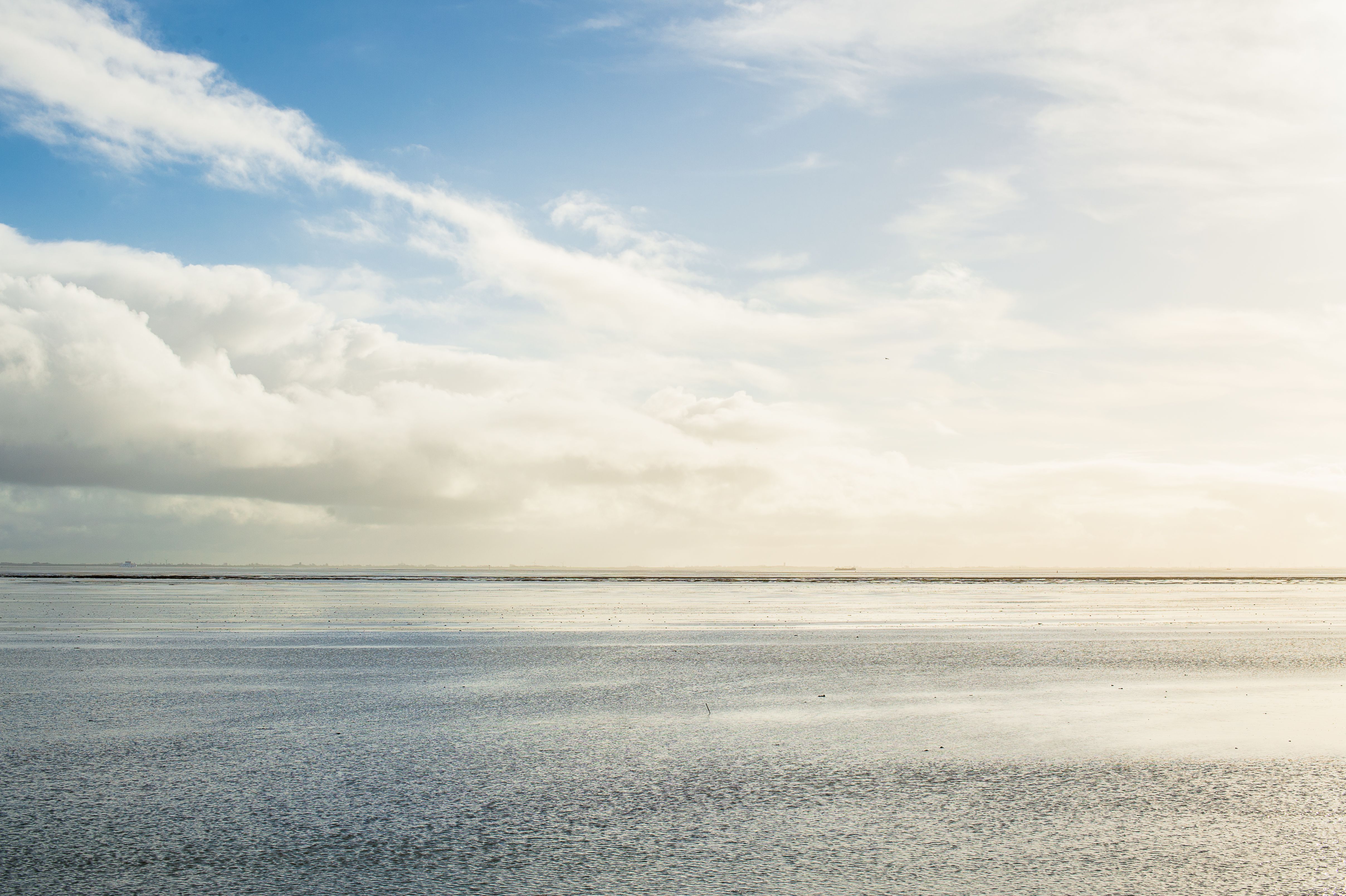 Wadden Sea World Heritage - Wadden.nl