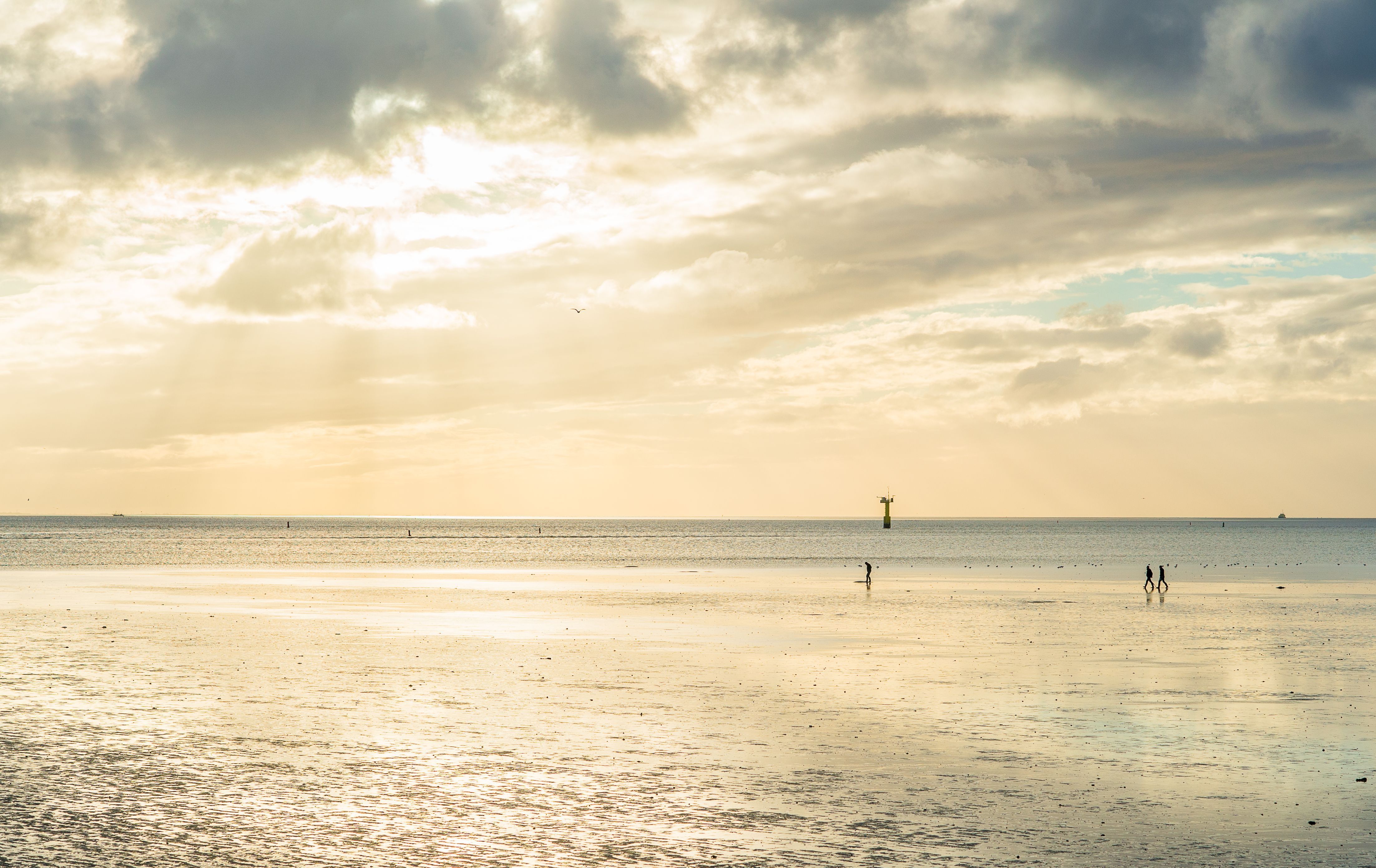Wadden Sea World Heritage - Wadden.nl