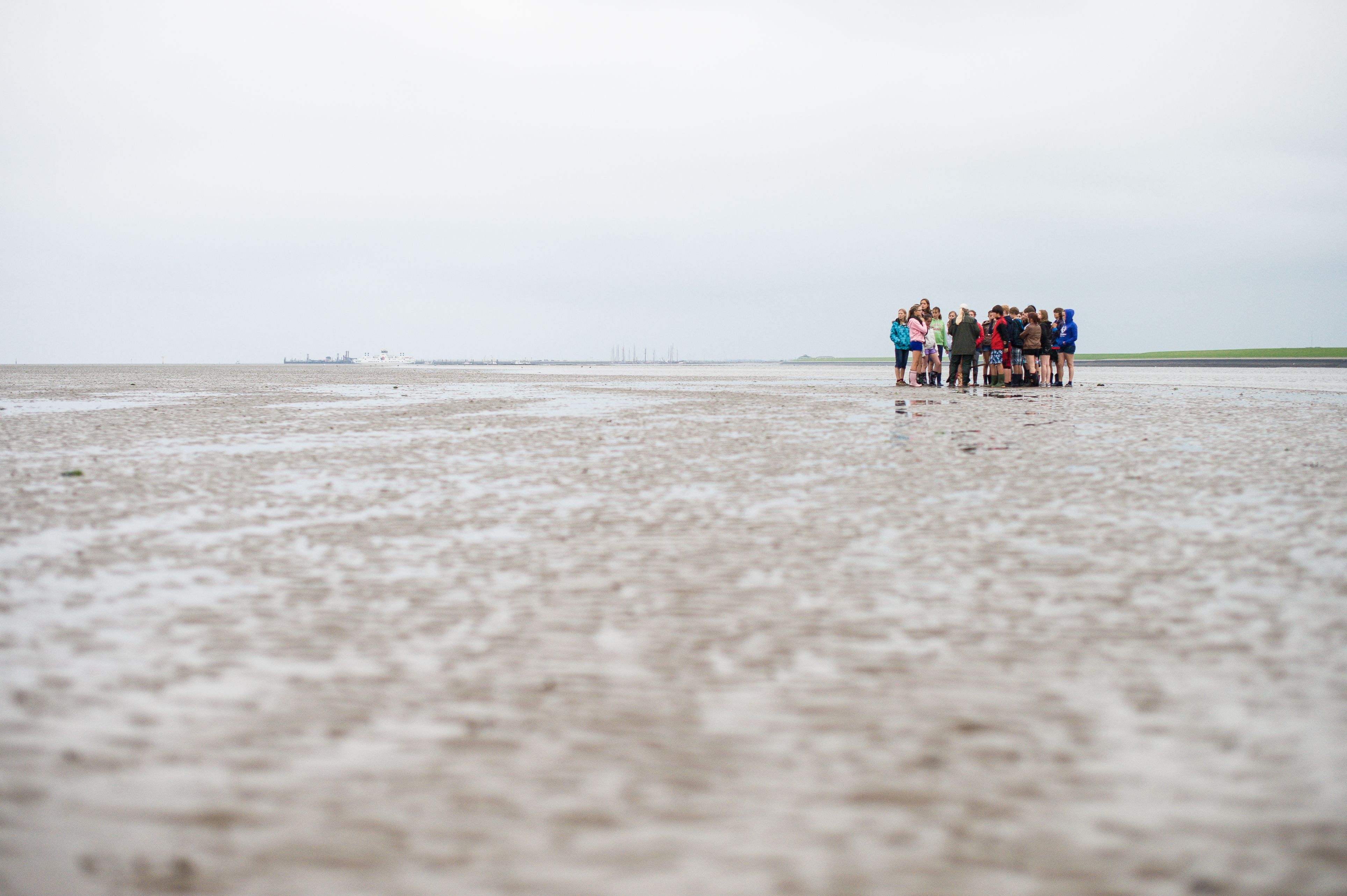 Wadden Sea World Heritage - Wadden.nl