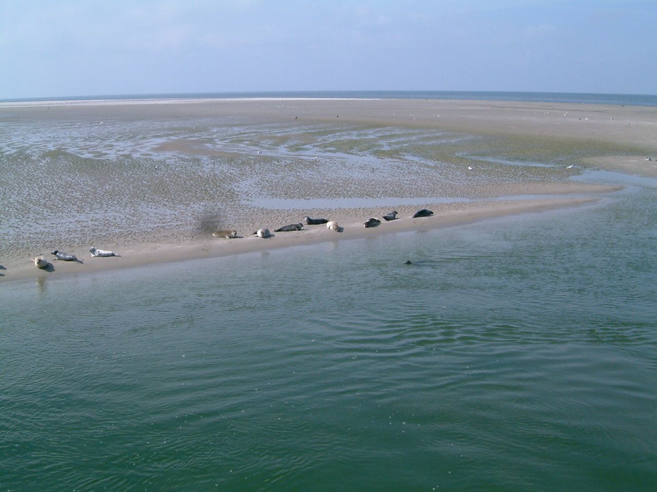Wadden Sea World Heritage - Wadden.nl